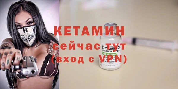 трава Карпинск