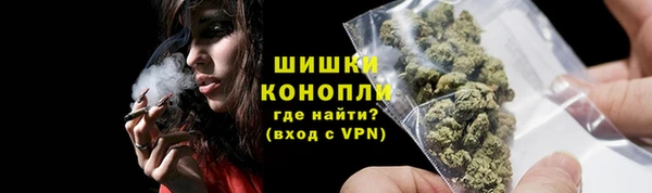 трава Карпинск