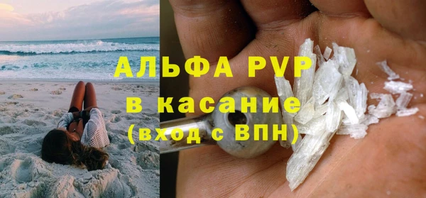 трава Карпинск