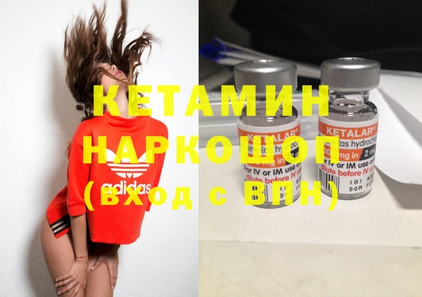 трава Карпинск