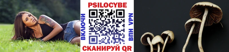 Псилоцибиновые грибы MAGIC MUSHROOMS  Купить закладки  Нижняя Салда 